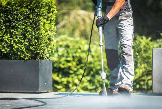 Best Driveway Pressure Washing  in Weber City, VA