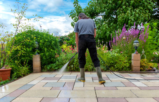 Best Animal Enclosure Cleaning  in Weber City, VA